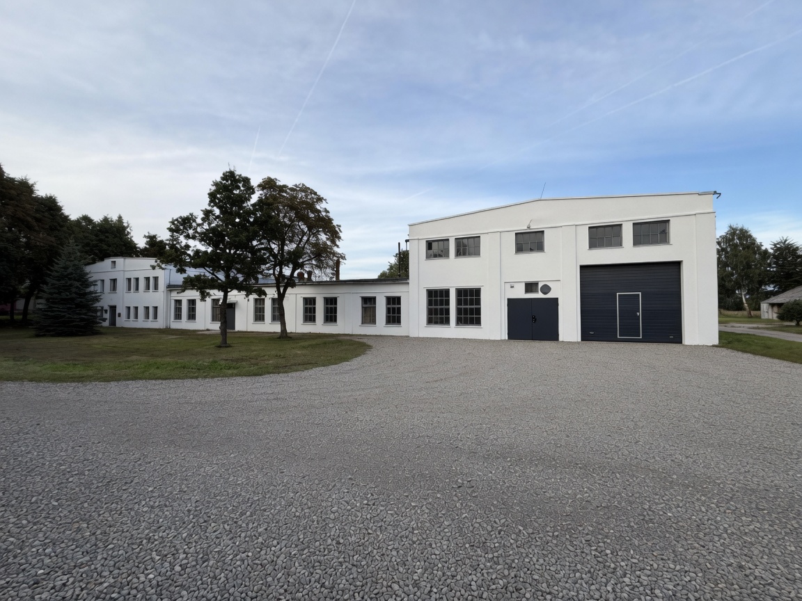 Dirbtuvės, dabar